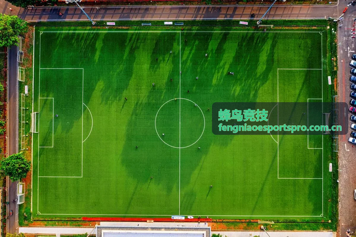 蜂鸟竞技版本强势战术专题